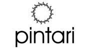 pintari.com