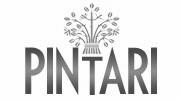 pintari.com