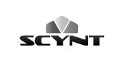 scynt.com