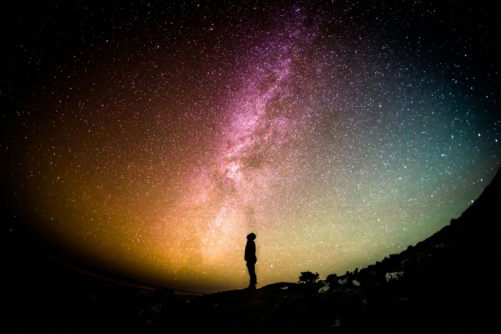 Astrology Consulting Firm Names