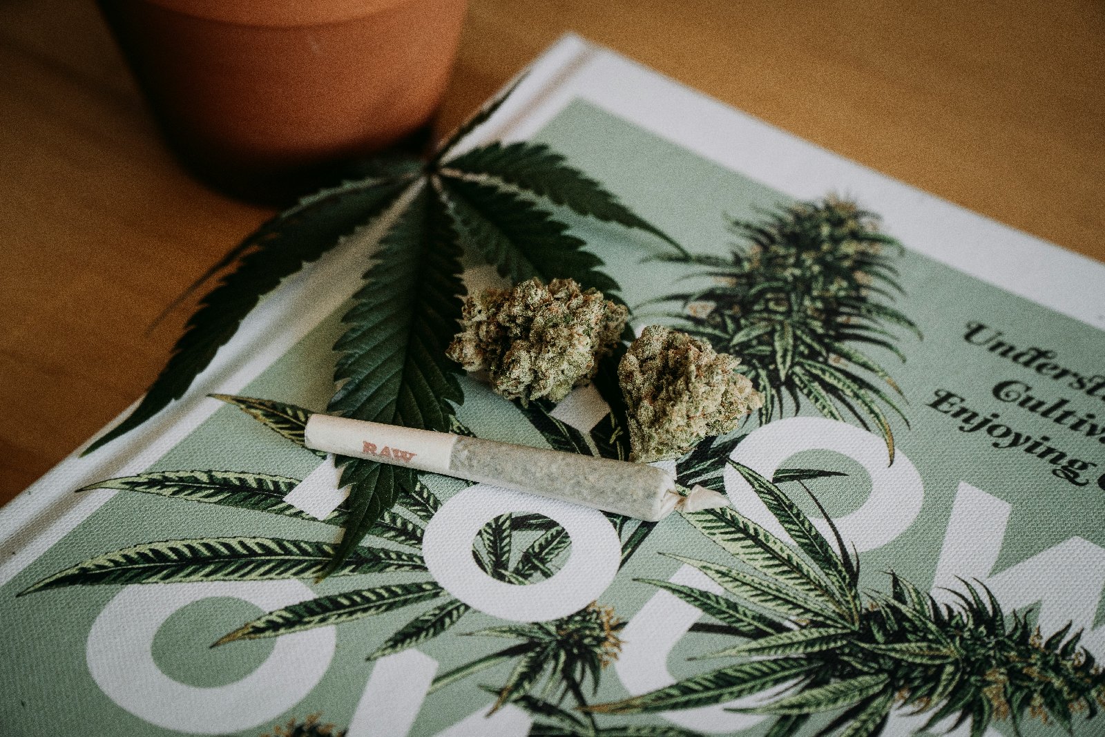 Cbd Business Names
