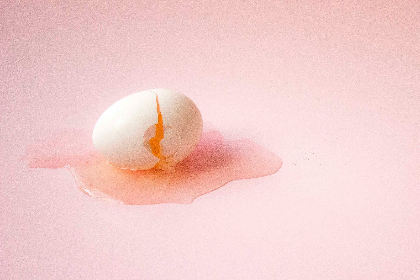 Egg Business Names