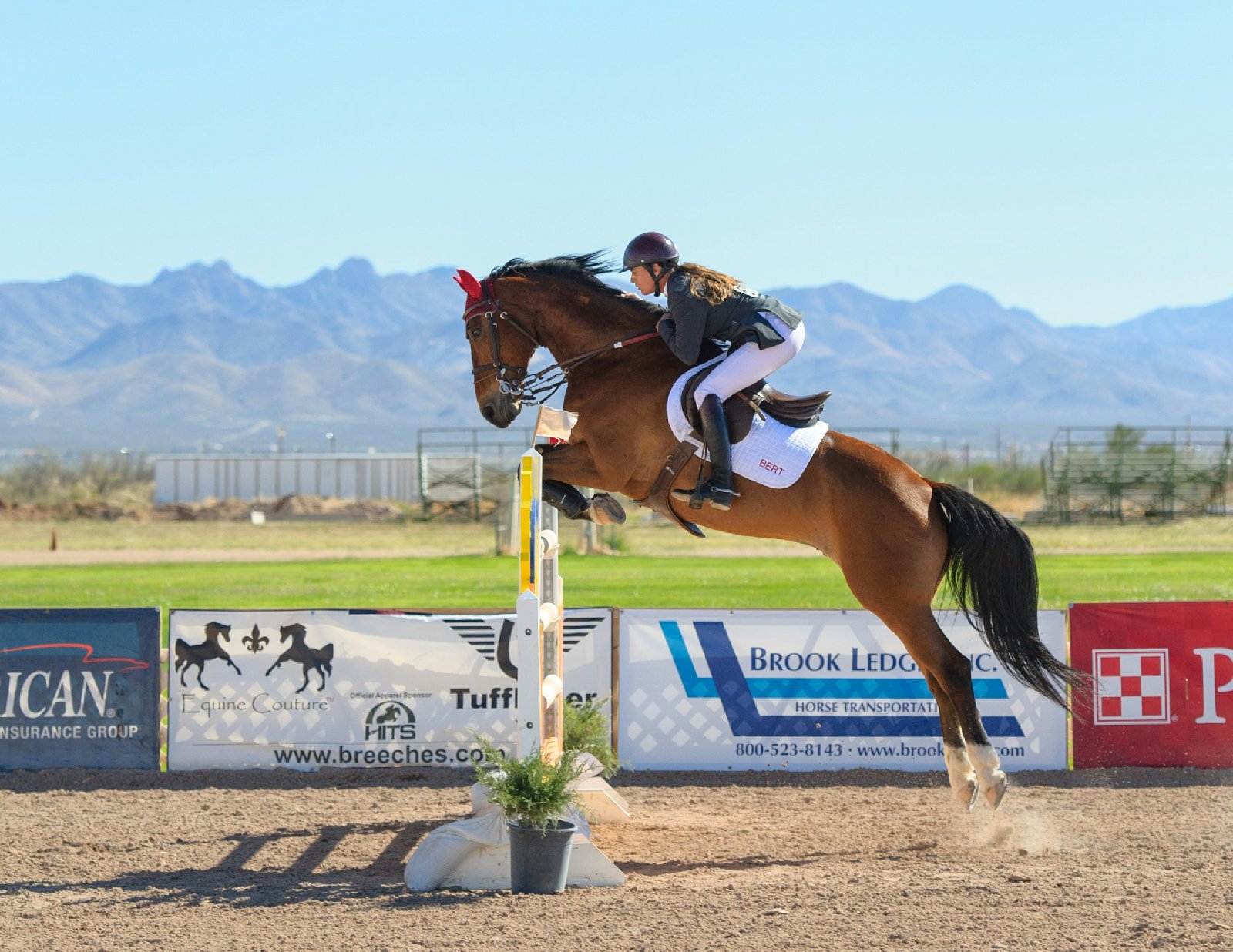 Horse Riding Club Names