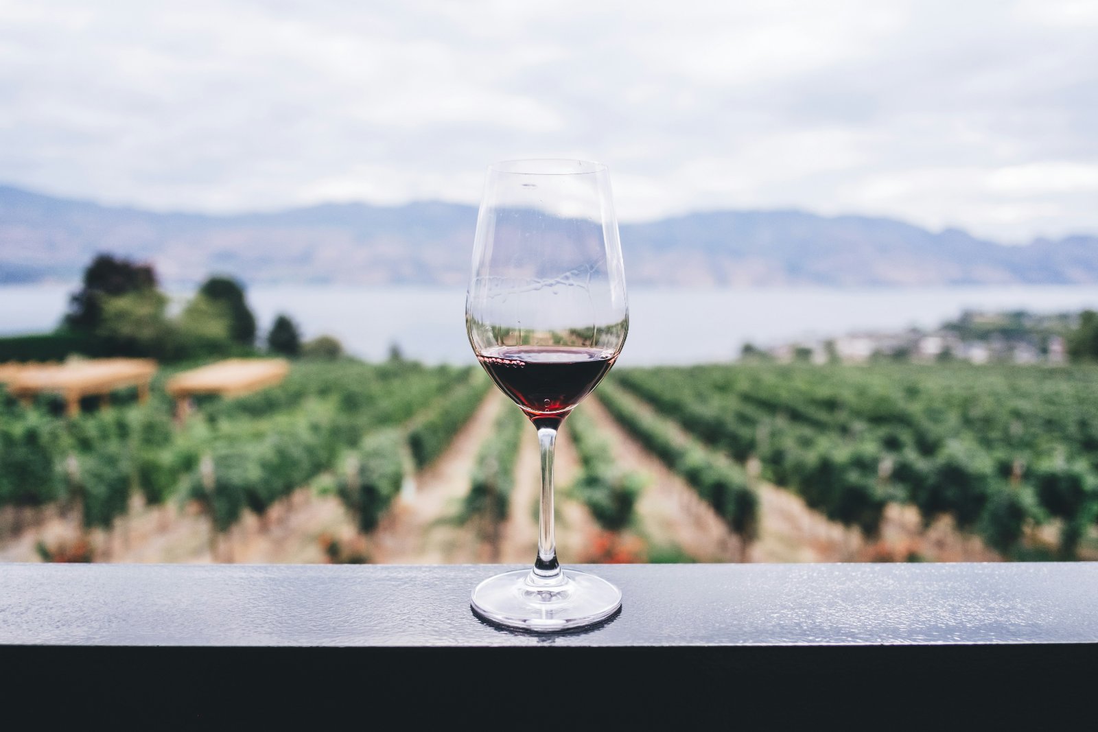 Wine Brand Names