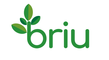 briu.com is for sale