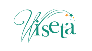 wiseta.com wiseta.com