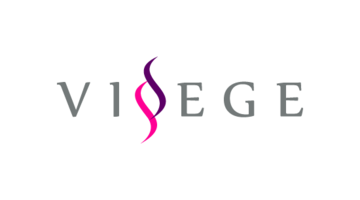 visege.com