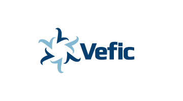 vefic.com is for sale