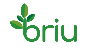 briu.com is for sale