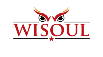 wisoul.com is for sale