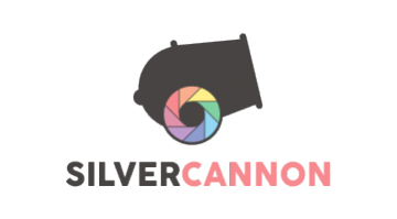 silvercannon.com is for sale