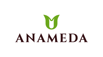 anameda.com is for sale