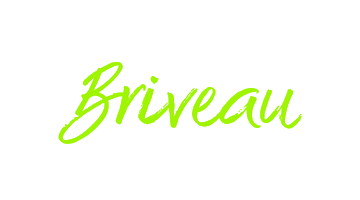 briveau.com is for sale