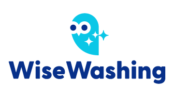 wisewashing.com