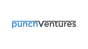 punchventures.com is for sale
